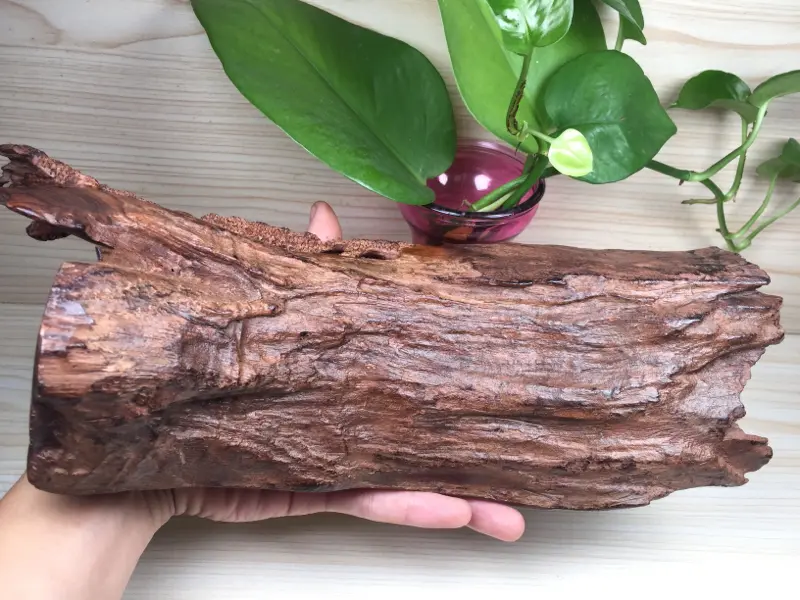 【此摆件为《知音难寻》老油梨虎皮纹摆件
品名:海南黄花梨,
选材:选用海南西部老油梨材料
规格:长312mmX高111.2mm,408.4克 ,
特点:玻璃质感,色泽艳丽,纹路清晰、油性好,密度大,细腻光滑,上手盘玩易包浆! 性价比非常高的一件“知音难寻”摆件。
细节图如下:】图7