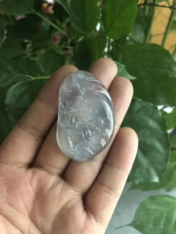美玉儿专.拍