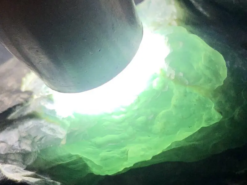 【👉 【名称】0.25kg莫湾基开窗料
【重量】0.25kg
【尺寸】90-45-40mm
【产地】缅甸新货翡翠原石
【描述】新货来袭!《免费切,免费盖手镯》莫湾基开窗冰种,大面积开窗肉质细腻起胶,灯下水长冰透质感,有底色,喜欢的老板速来抢购H796】图10