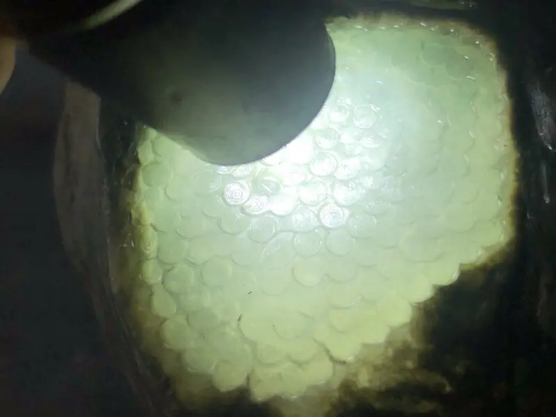 【👉 【名称】1.95kg南齐开窗料
【重量】1.95kg
【尺寸】120-100-70mm
【产地】缅甸新货翡翠原石
【描述】新货来袭!《免费切,免费盖手镯》南齐开窗料,大面积开窗肉质细腻干净,灯下水长冰透,喜欢的老板速来抢购H800】图10