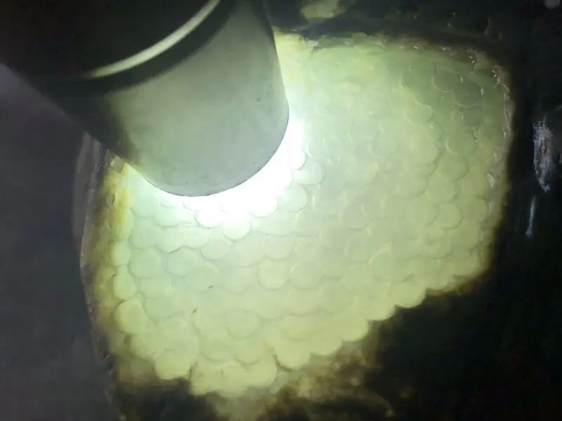 【👉 【名称】1.95kg南齐开窗料
【重量】1.95kg
【尺寸】120-100-70mm
【产地】缅甸新货翡翠原石
【描述】新货来袭!《免费切,免费盖手镯》南齐开窗料,大面积开窗肉质细腻干净,灯下水长冰透,喜欢的老板速来抢购H800】图1