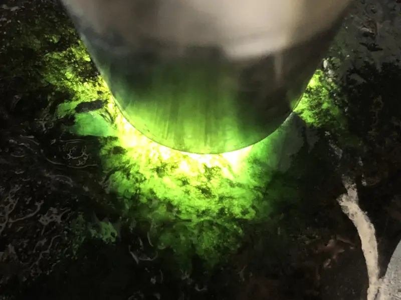 【👉 【名称】7.85kg莫湾基全赌料
【重量】7.85kg
【尺寸】220-130-110mm
【产地】缅甸新货翡翠原石
【描述】新货来袭!《免费切,免费盖手镯》莫湾基全赌料,皮壳完整紧致,灯下水足起荧光,喜欢的老板速来抢购。H838】图2