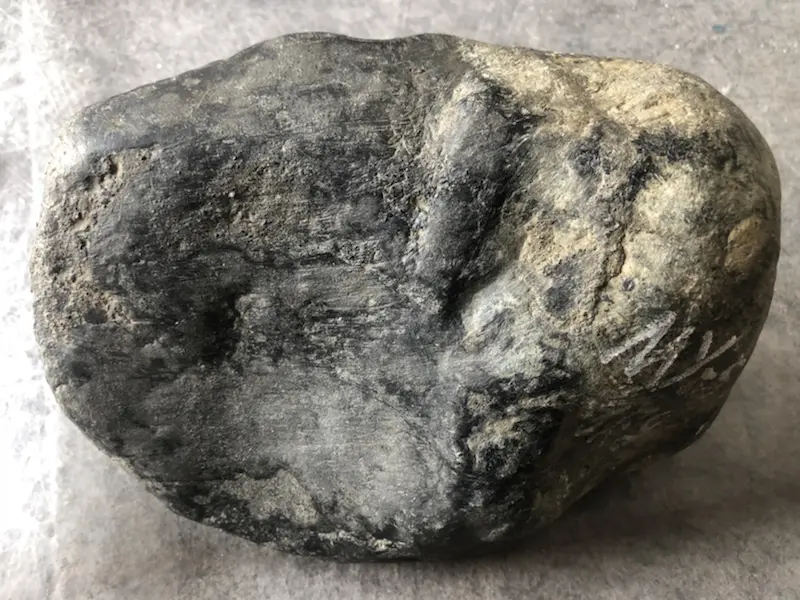 【👉 【名称】7.85kg莫湾基全赌料
【重量】7.85kg
【尺寸】220-130-110mm
【产地】缅甸新货翡翠原石
【描述】新货来袭!《免费切,免费盖手镯》莫湾基全赌料,皮壳完整紧致,灯下水足起荧光,喜欢的老板速来抢购。H838】图4