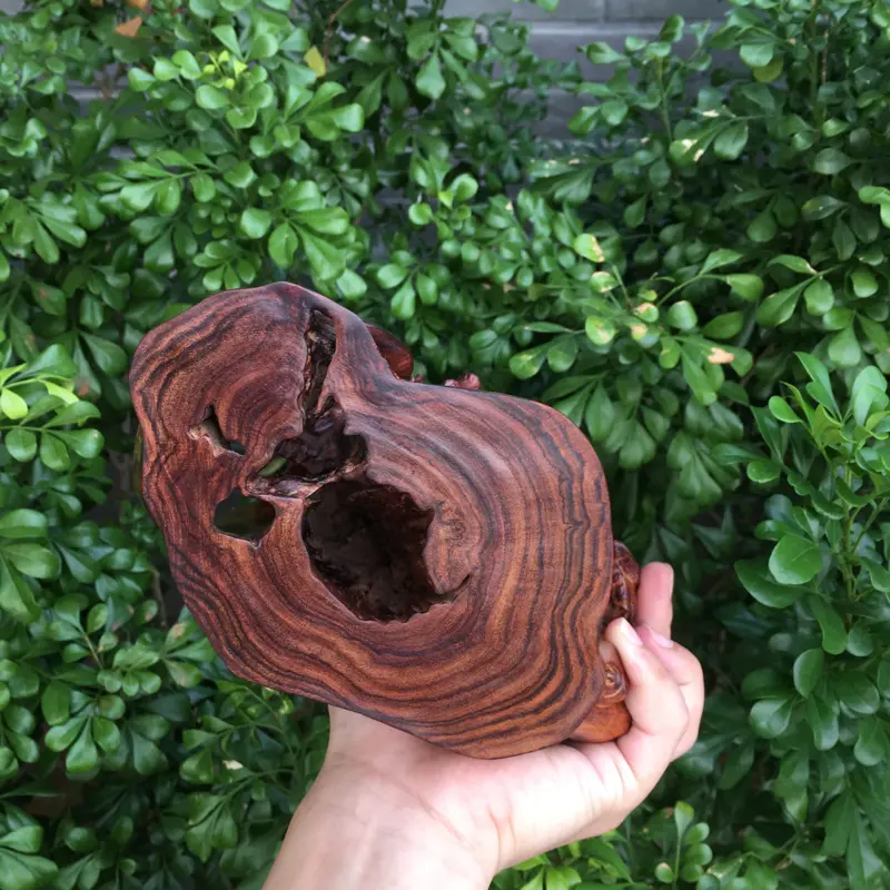 【海南黄花梨精品油梨摆件(松趣仙鹤),雕工精赞,名师精雕,瘤疤纹理,纹理清晰,荧光十足,高油高密,色泽均匀,送礼摆件收藏品,长:200mm,宽:100mm,高:170mm,克重:898克,值得推荐】图6