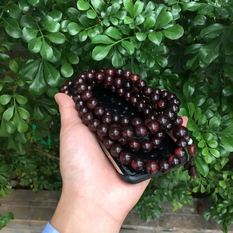 【海南黄花梨精品紫油梨念珠,同料制作12mm×108,纹理清晰,高油高密,底色干净,色泽均匀,把玩收藏送礼首选品,克重:102克,值得推荐】图7