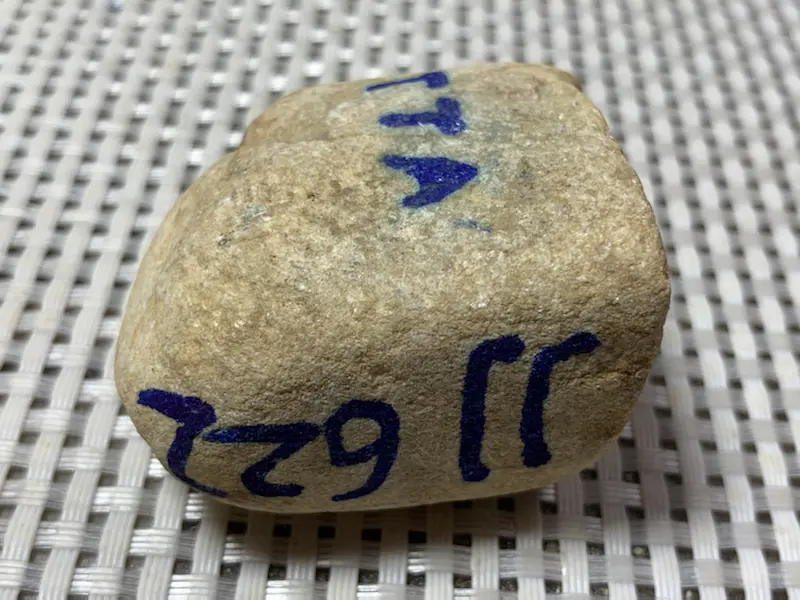 【免费切石解石加工手镯# 【名称】124克大马坎开窗黄翡料。 【重量】124克【尺寸】50*35*28MM 【产地】缅甸【描述】缅甸大马坎开窗黄翡料,开窗面积大,种好肉质细腻,赌肉进,种老,喜欢的翠友速来】图7