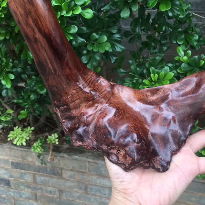 【海南黄花梨西部霸王岭一个随行摆件,造型独特,纯手制作,材质细腻饱满圆润光滑,玻璃质感,荧光感十足,留疤纹路,此摆件值得推荐,高35cm宽28cm克重755g】图5