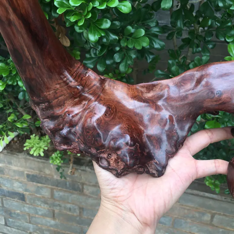 【海南黄花梨西部霸王岭一个随行摆件,造型独特,纯手制作,材质细腻饱满圆润光滑,玻璃质感,荧光感十足,留疤纹路,此摆件值得推荐,高35cm宽28cm克重755g】图4