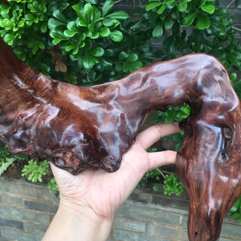 【海南黄花梨西部霸王岭一个随行摆件,造型独特,纯手制作,材质细腻饱满圆润光滑,玻璃质感,荧光感十足,留疤纹路,此摆件值得推荐,高35cm宽28cm克重755g】图3