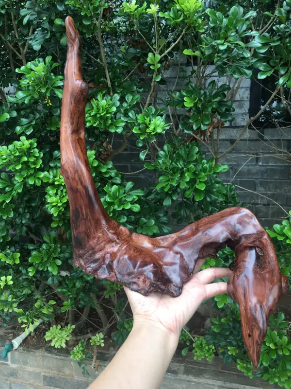 【海南黄花梨西部霸王岭一个随行摆件,造型独特,纯手制作,材质细腻饱满圆润光滑,玻璃质感,荧光感十足,留疤纹路,此摆件值得推荐,高35cm宽28cm克重755g】图1