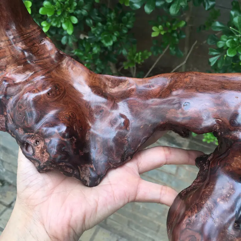 【海南黄花梨西部霸王岭一个随行摆件,造型独特,纯手制作,材质细腻饱满圆润光滑,玻璃质感,荧光感十足,留疤纹路,此摆件值得推荐,高35cm宽28cm克重755g】图9