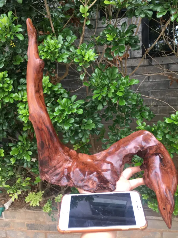 【海南黄花梨西部霸王岭一个随行摆件,造型独特,纯手制作,材质细腻饱满圆润光滑,玻璃质感,荧光感十足,留疤纹路,此摆件值得推荐,高35cm宽28cm克重755g】图10