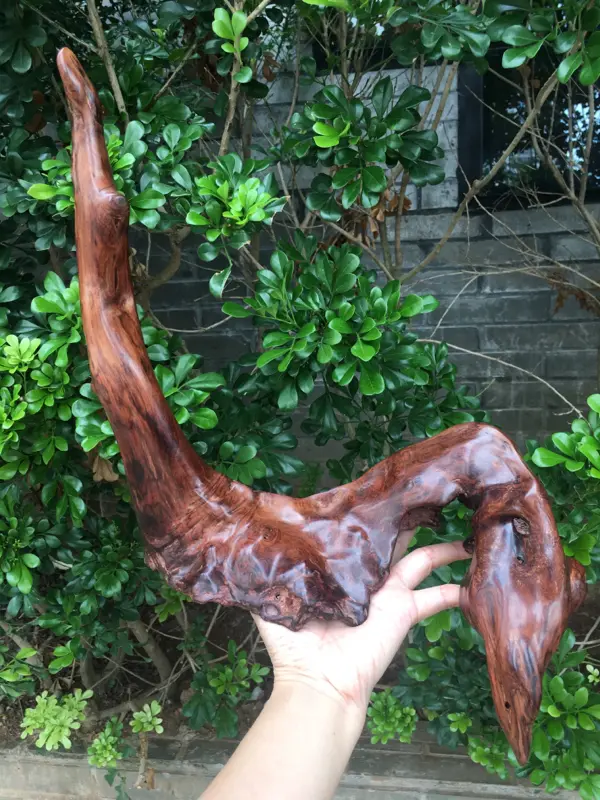 【海南黄花梨西部霸王岭一个随行摆件,造型独特,纯手制作,材质细腻饱满圆润光滑,玻璃质感,荧光感十足,留疤纹路,此摆件值得推荐,高35cm宽28cm克重755g】图6