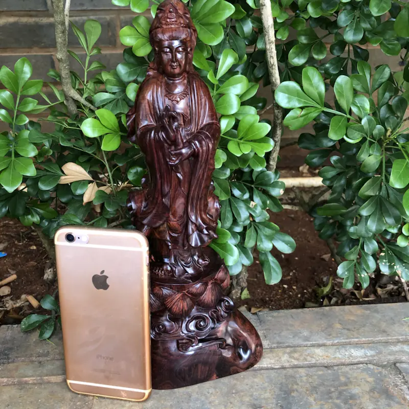 【海南黄花梨,紫油梨,(观音菩萨),雕工精赞,立体感美,线条美,纹理清晰,底色干净,色泽均匀,规格:高290mm,宽137mm,克重:643.9克,值得推荐!】图11