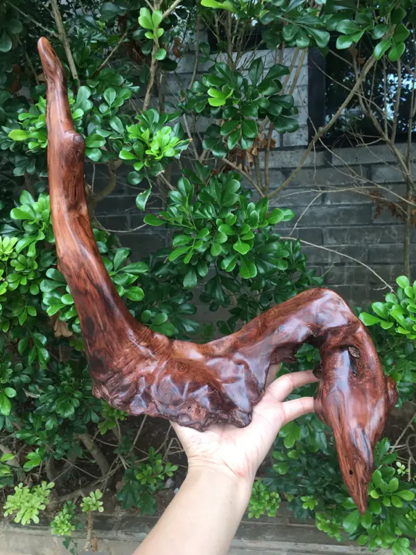 【海南黄花梨西部霸王岭一个随行摆件,造型独特,纯手制作,材质细腻饱满圆润光滑,玻璃质感,荧光感十足,留疤纹路,此摆件值得推荐,高35cm宽28cm克重755g】图7