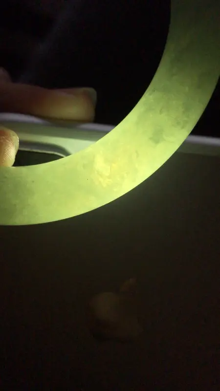 自然光拍摄 翡翠浅绿圆条手镯 A135玉质细腻 底子清爽 韵味十足 尺寸57×10.6×10.6mm