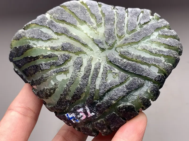 莫西沙开窗料 整体形状饱满圆润 全身大面积开窗 压手感非常重 打灯全身有表现 压灯光感十足 种老肉细  糖色底色 稀有少见 整坨满肉 性价比高 欢迎喜欢的翠友来询