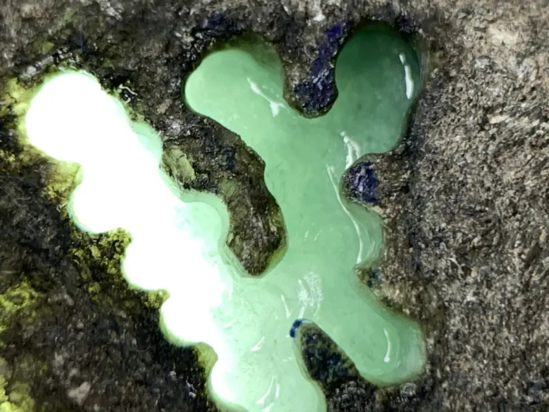 【豆种翡翠原石/毛料】-豆种翡翠原石/毛料价格_图片-对庄翡翠网