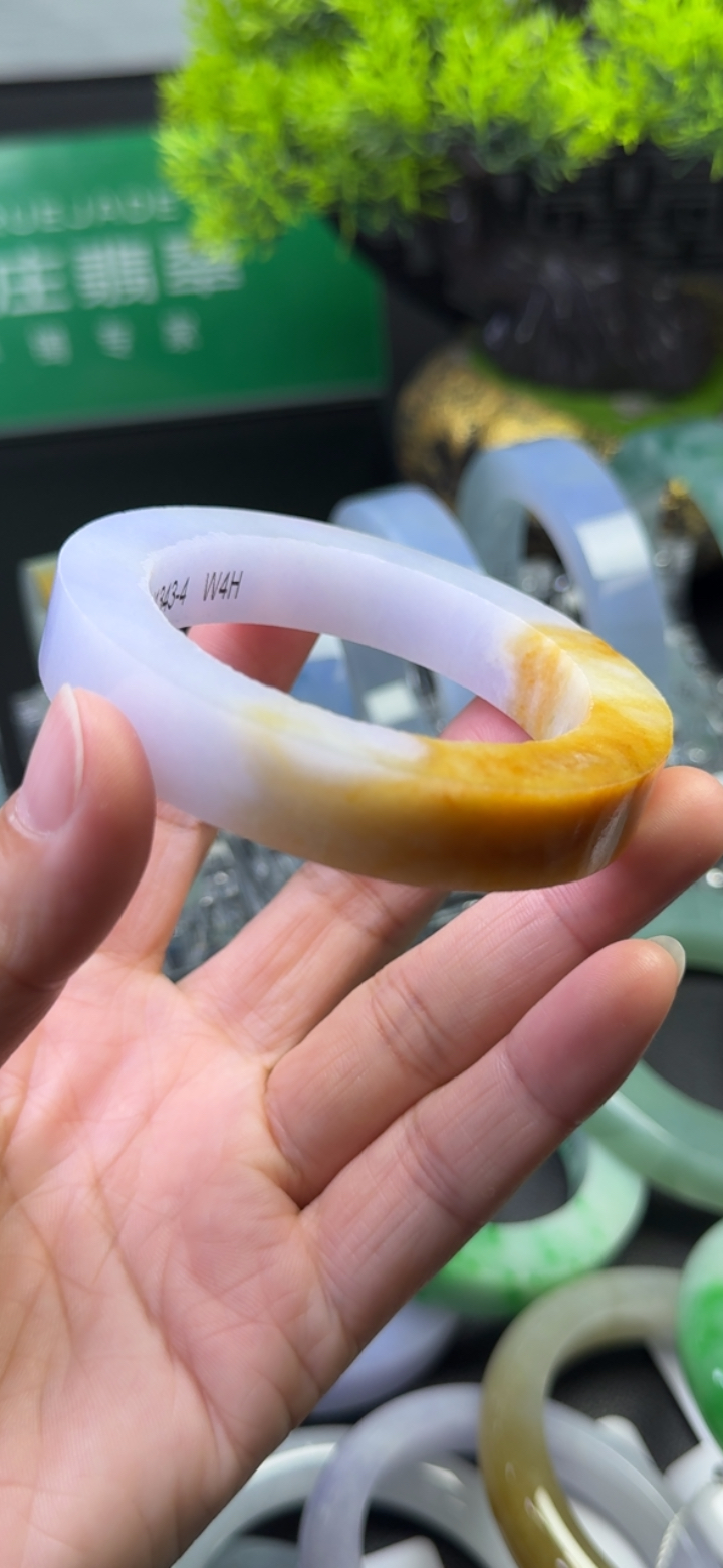 紫罗兰带黄翡手镯83-56