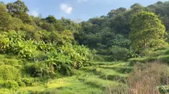 暗**