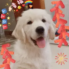 洒**