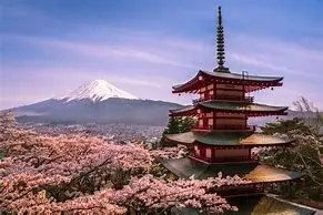 阳光溪水