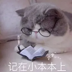 翠友8**