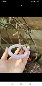 不**