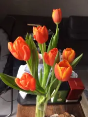 蓝**